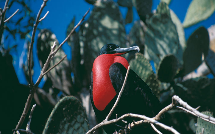 Reef and Rainforest Tours Ltd.