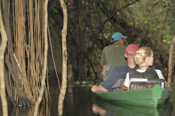 Reef and Rainforest Tours Ltd.