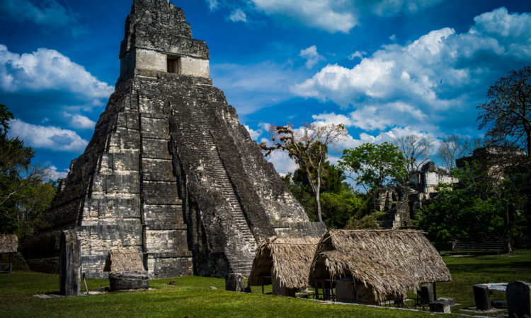 Maya Trails