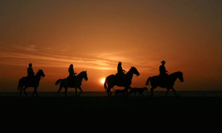 Los Cabos Tourism Board