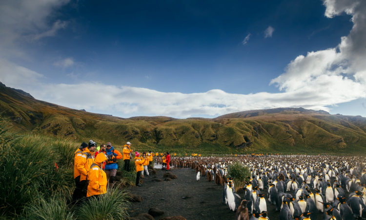 Quark Expeditions