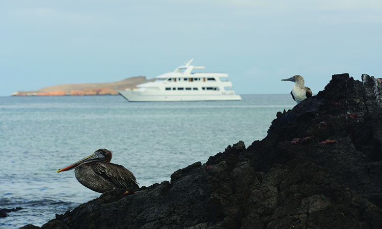 GALAGENTS S.A.  Galapagos Cruises