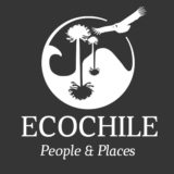 Ecochile Travel