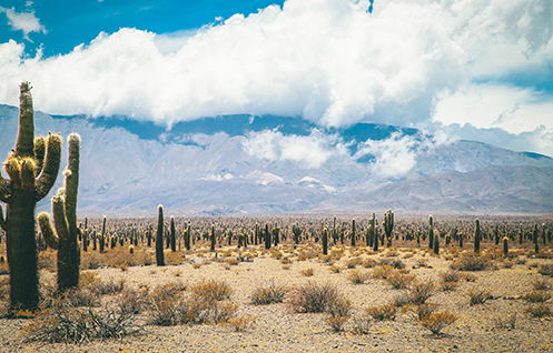 Argentina - National Institute of Tourism Promotion 