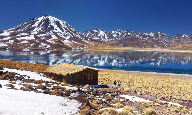 travelArt Chile