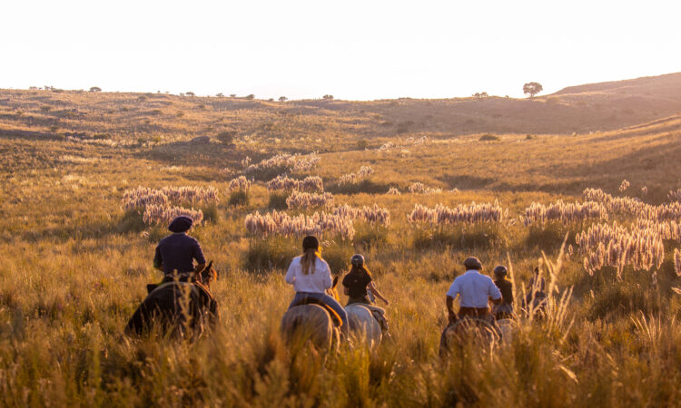 Estancia Los Potreros SA