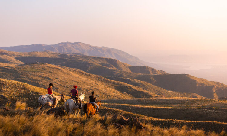 Estancia Los Potreros SA