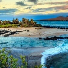 galapagos-islands-jpg