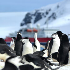 antarctic-november-2011-077-jpg