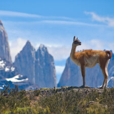 torres-del-paine-jpg-4