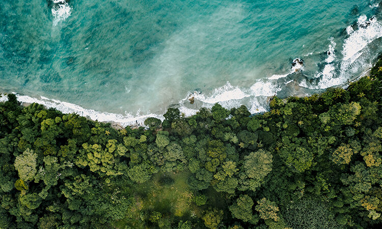 Journey Costa Rica 