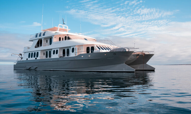 Galagents Galapagos Galaxy Cruises