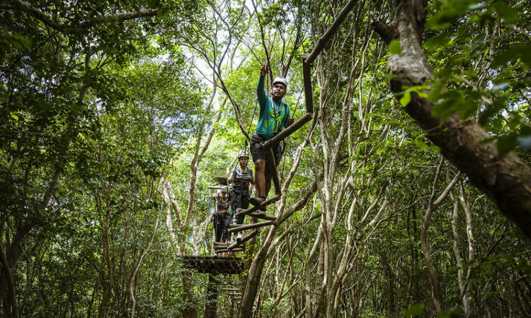 Brazilian Tourist Board - EMBRATUR