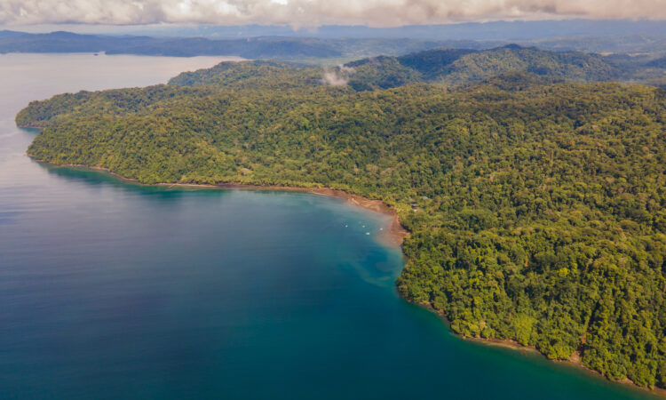 Playa Cativo Lodge