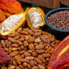 private-chocolate-tour-jpg