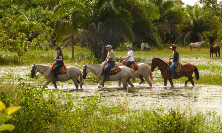 Blumar Tour Operator
