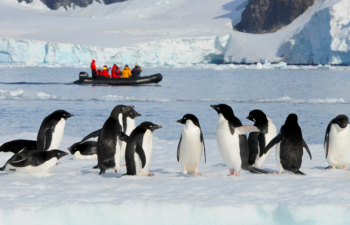 ANTARPPLY EXPEDITIONS