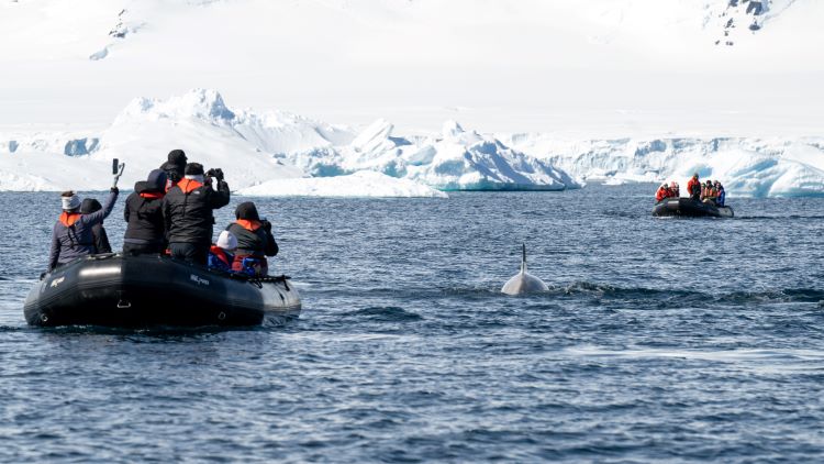 ANTARPPLY EXPEDITIONS