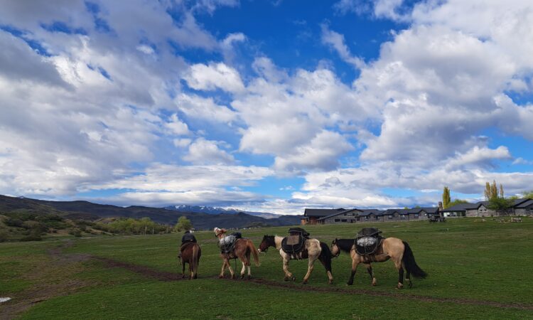 Dalca Travel
