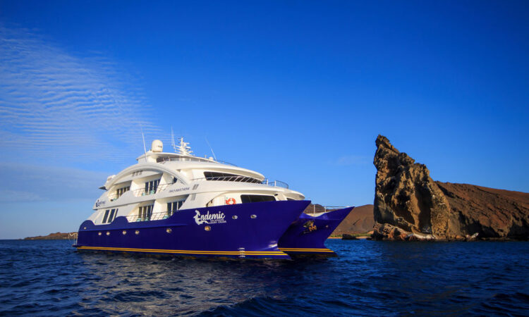 Golden Experiences and Travel 