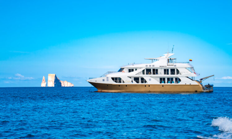 Golden Experiences and Travel 