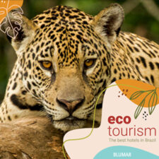 catalogo_eco-jpg