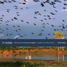 treinamento_pantanal-jpg