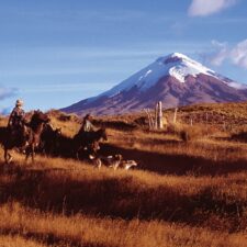 image-4-ecuador-itinerary-copy-1-jpg