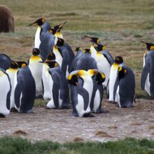 shutterstock-tierra-del-fuego-argentina-jpg