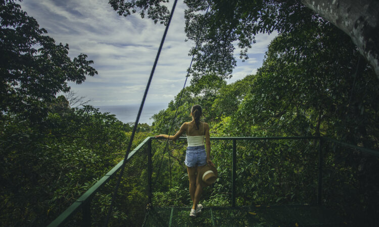 Los Altos Resort