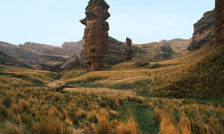 Andean