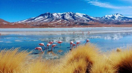 Hidalgo Tours Bolivia