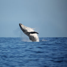 sustainable-regenerative-travel-jpg