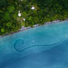 wildlife-coastal-exploration-jpg