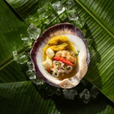 delfin-entrega-ene25_021-jpg