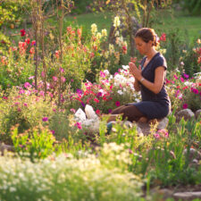 expedia-garden-meditation-73fs6892-kl-jpg