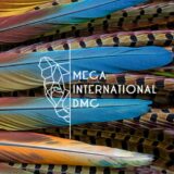 MECA INTERNATIONAL DMC