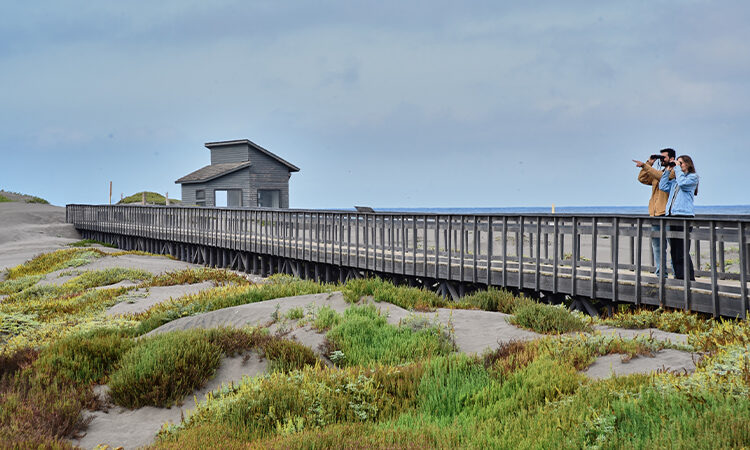 Hotel Boutique La Casona