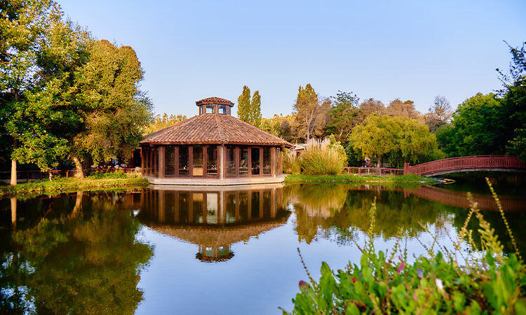 Hotel Boutique La Casona