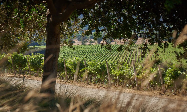 Hotel Boutique La Casona