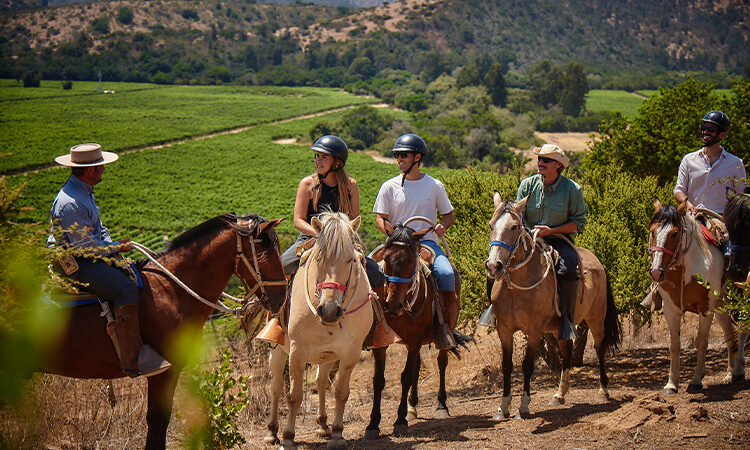 Hotel Boutique La Casona