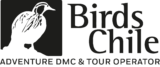 BirdsChile