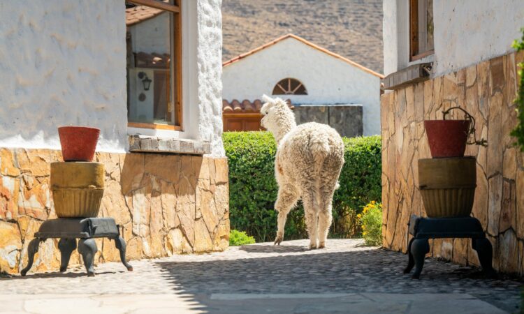 Responsible Travel South America