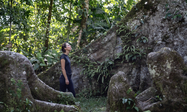 Kuyana Amazon Lodge