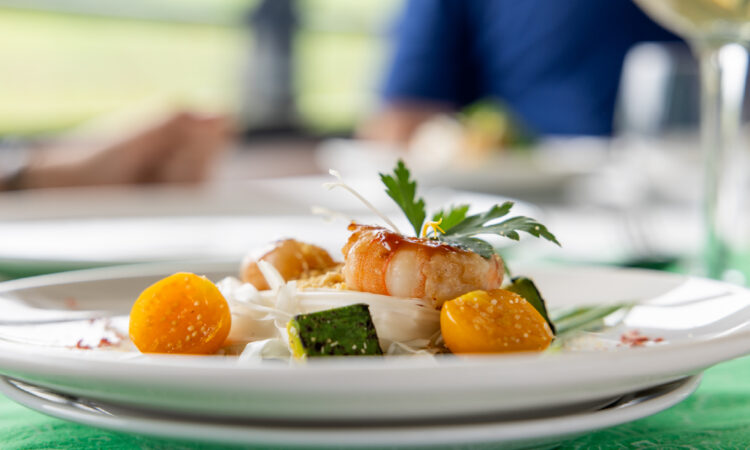 Jungle Experiences Amazon River Cruises