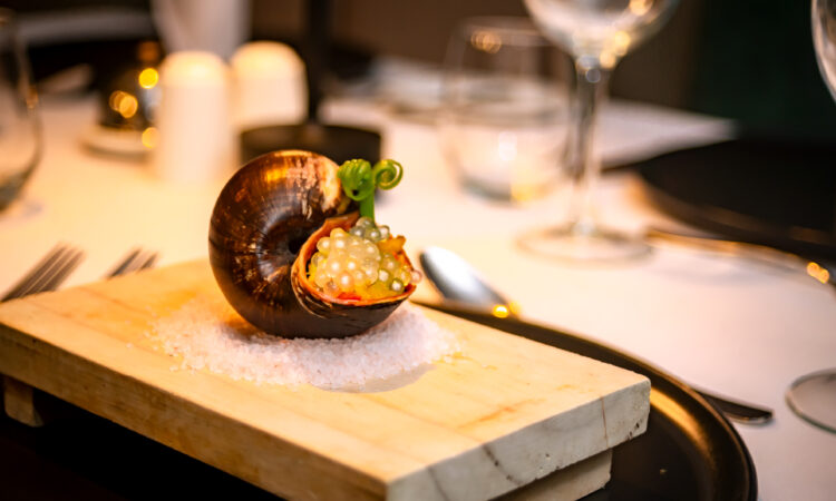 Jungle Experiences Amazon River Cruises