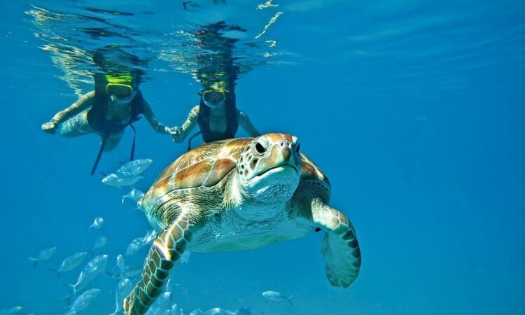 Belize Hotel Association
