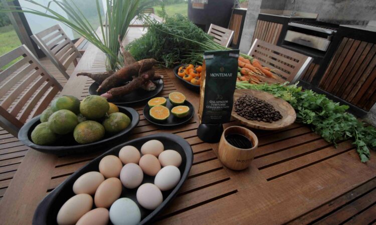 Montemar Eco  Luxury Villas Galapagos