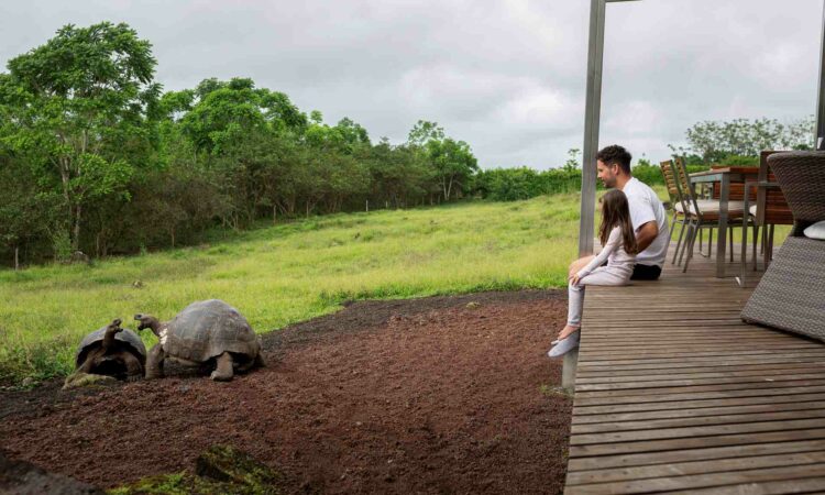 Montemar Eco  Luxury Villas Galapagos